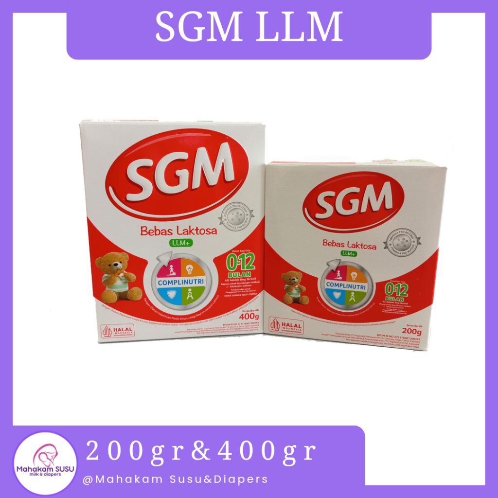 SGM LLM
