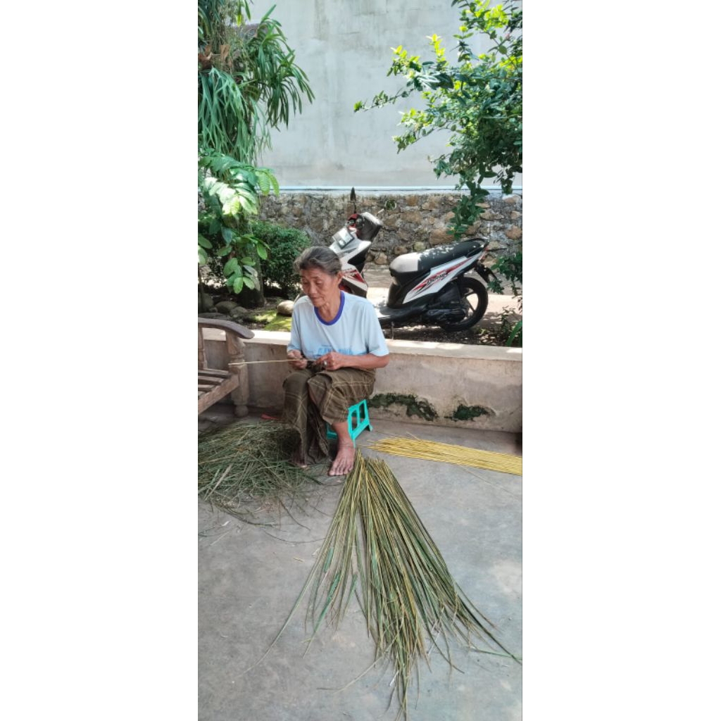 sapu lidi aren