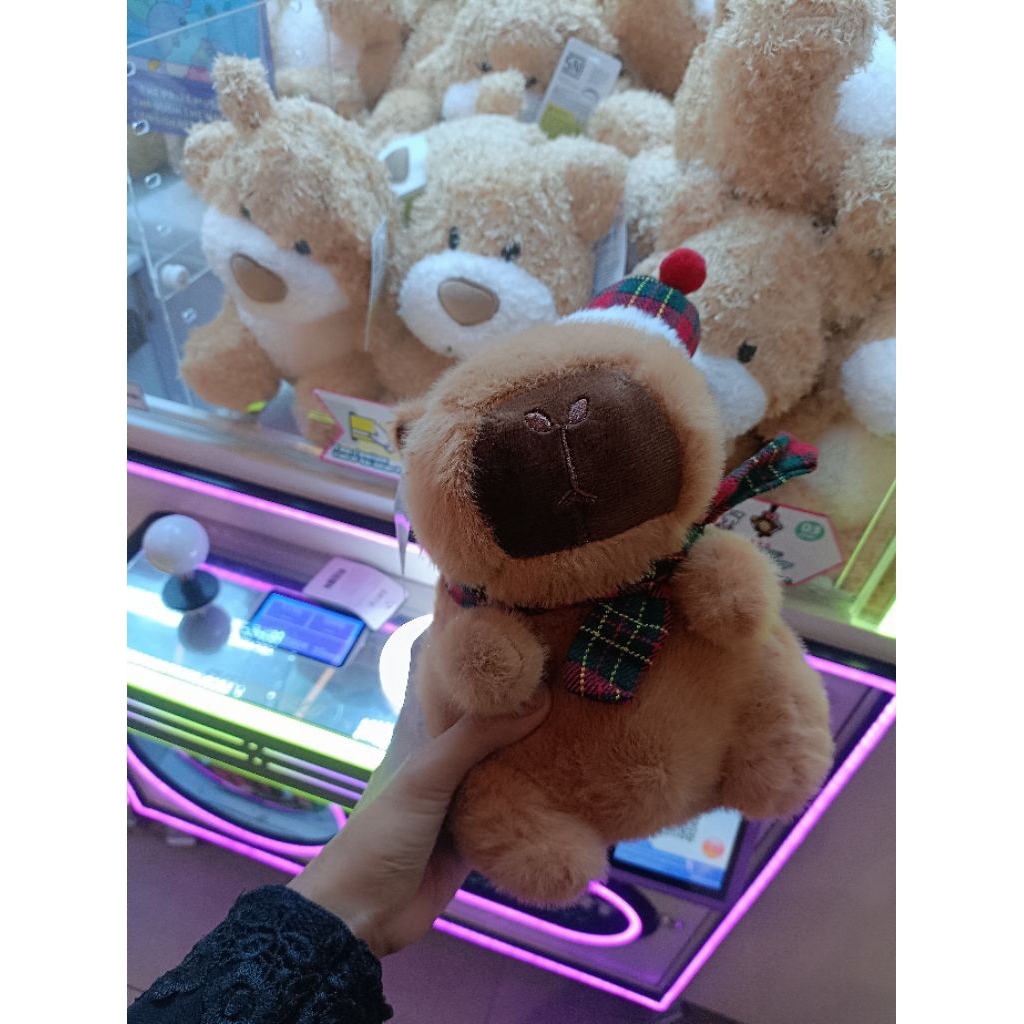 Boneka Capibara Capybara imut lucu sni oh some