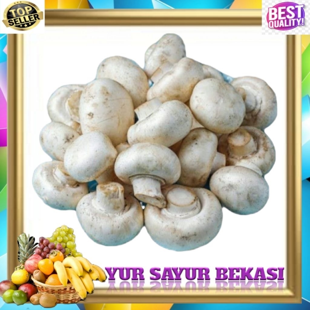 Jamur Kancing Putih ( 1pack).