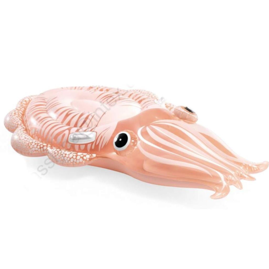 Intex 58731 cuttlefish inflateable raft floaties original