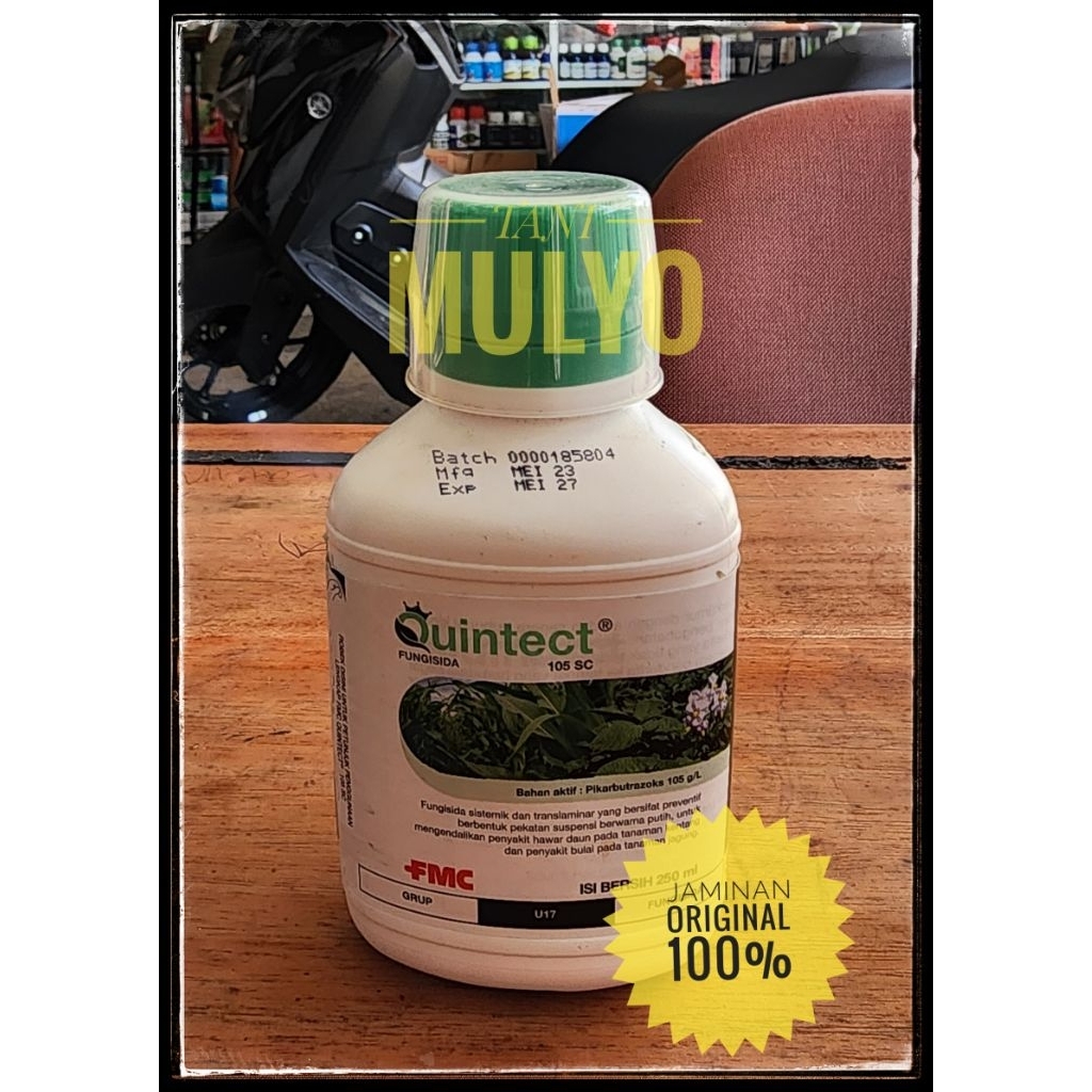 QUINTECT 250 ML