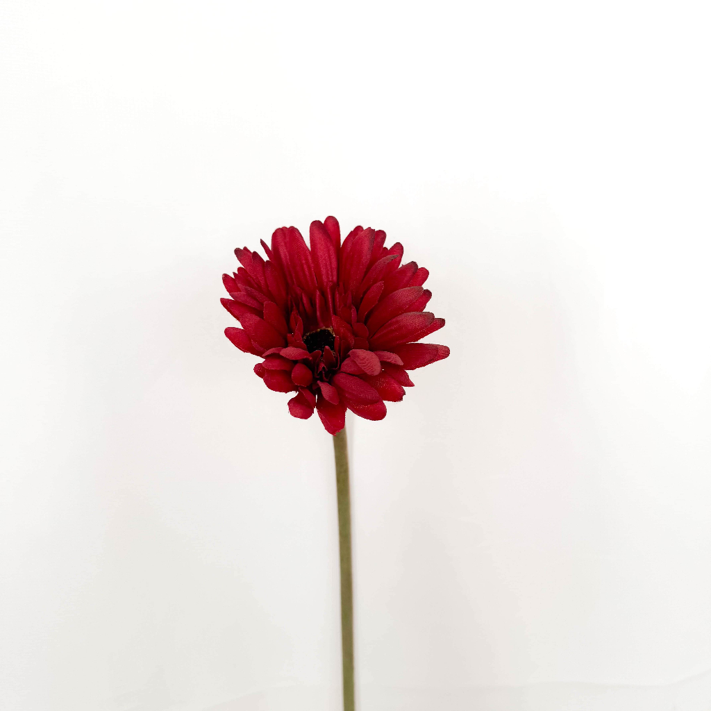 MIKEY - GERBERA RED