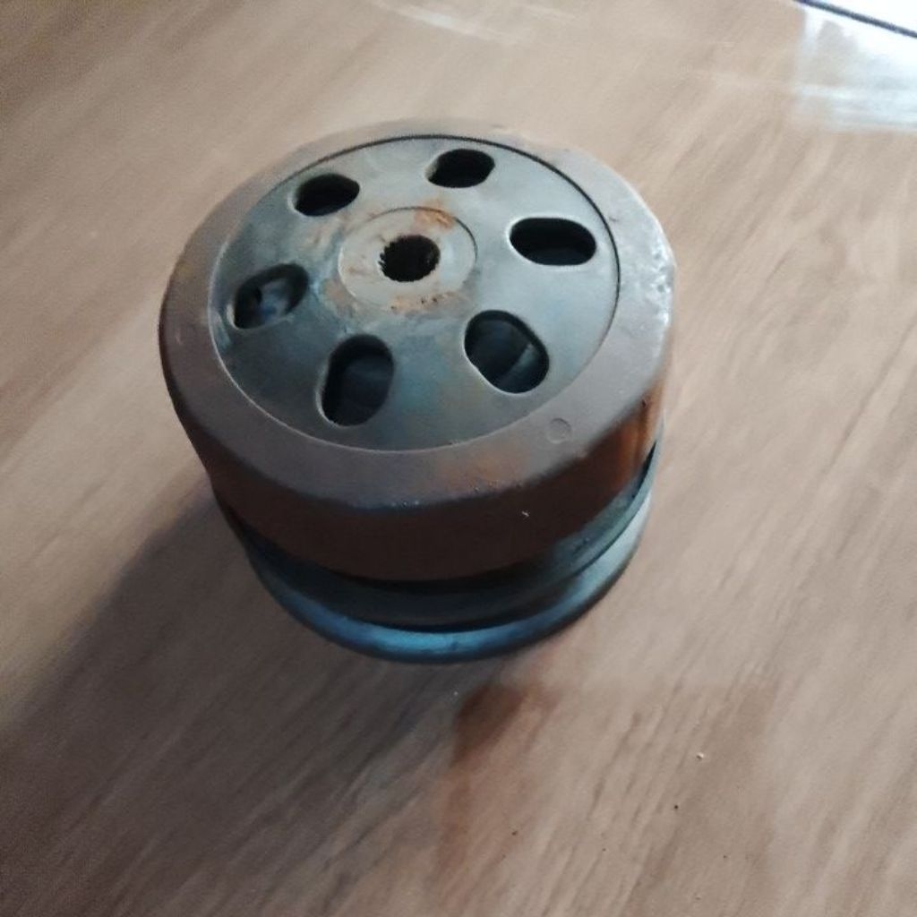 poli Mioz pulset