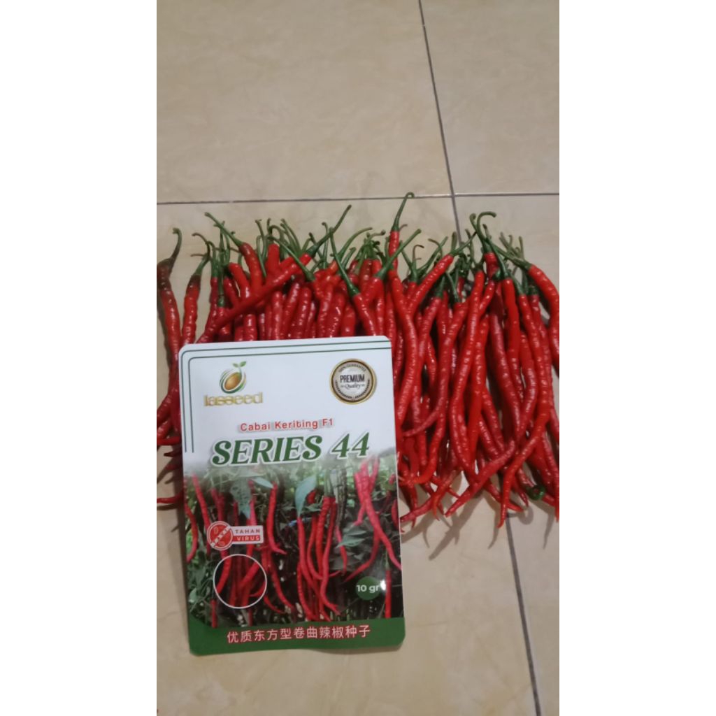 cabe keriting tipe or series 44