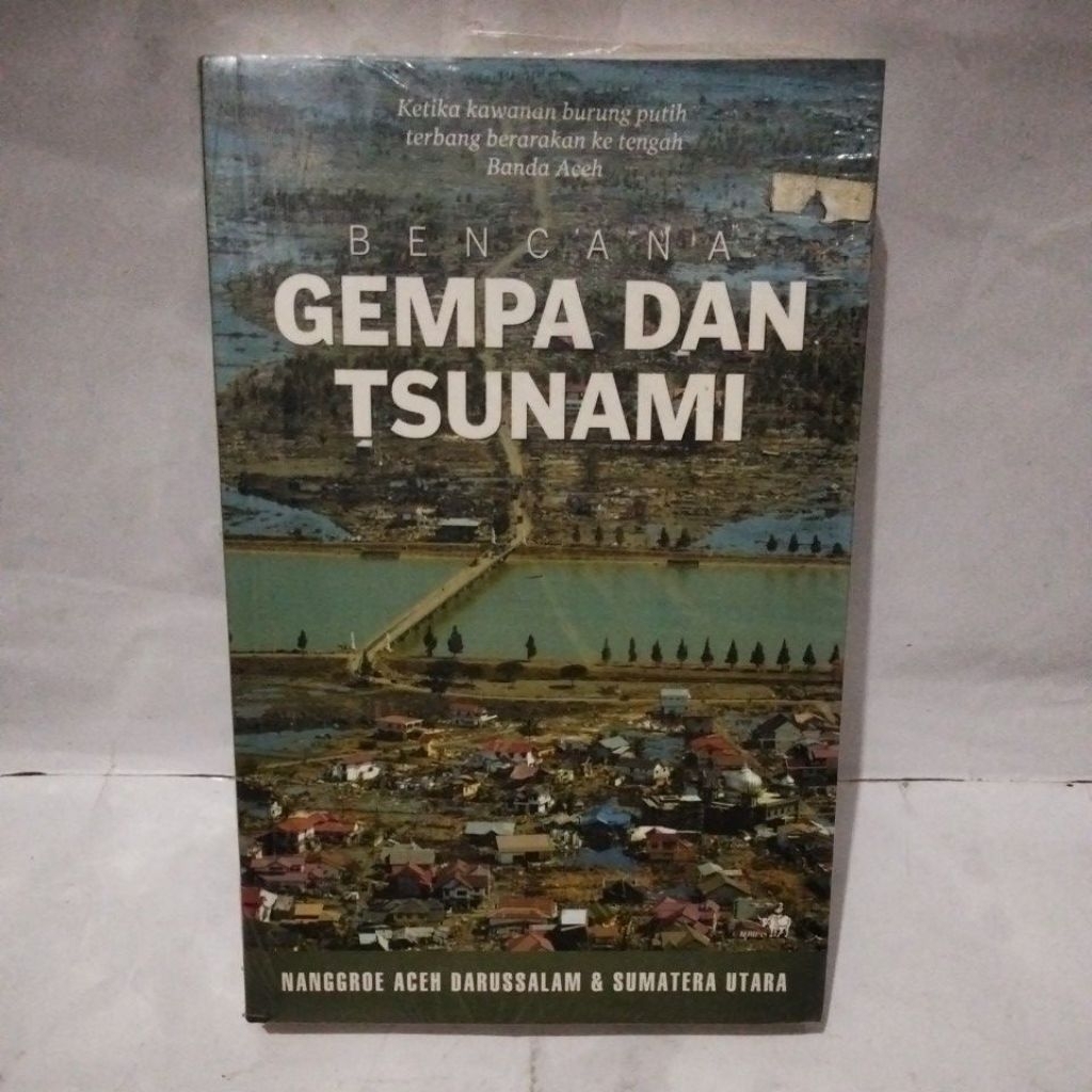 Bencana Gempa Tsunami