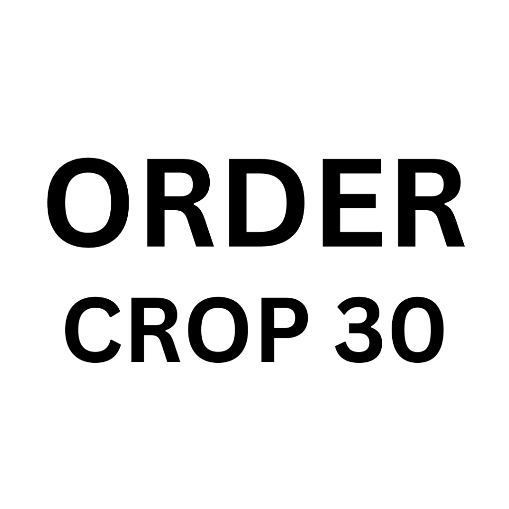 order khusus crop 30