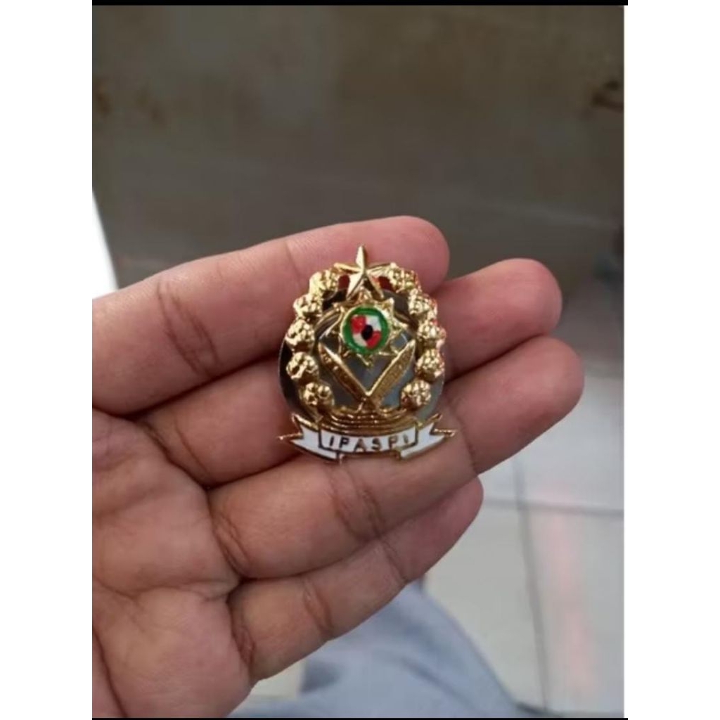 pin IPASPI (magnet)