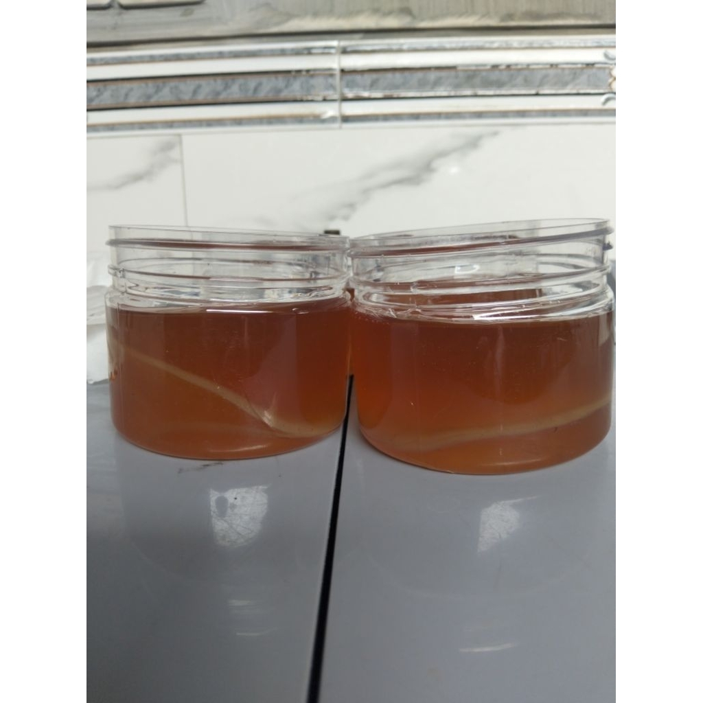 scoby starter