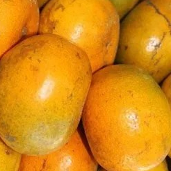 jeruk medan. 500g