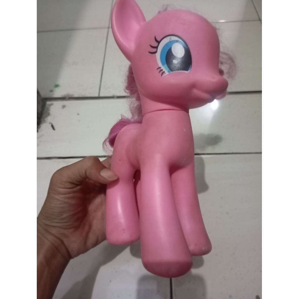 kuda poni