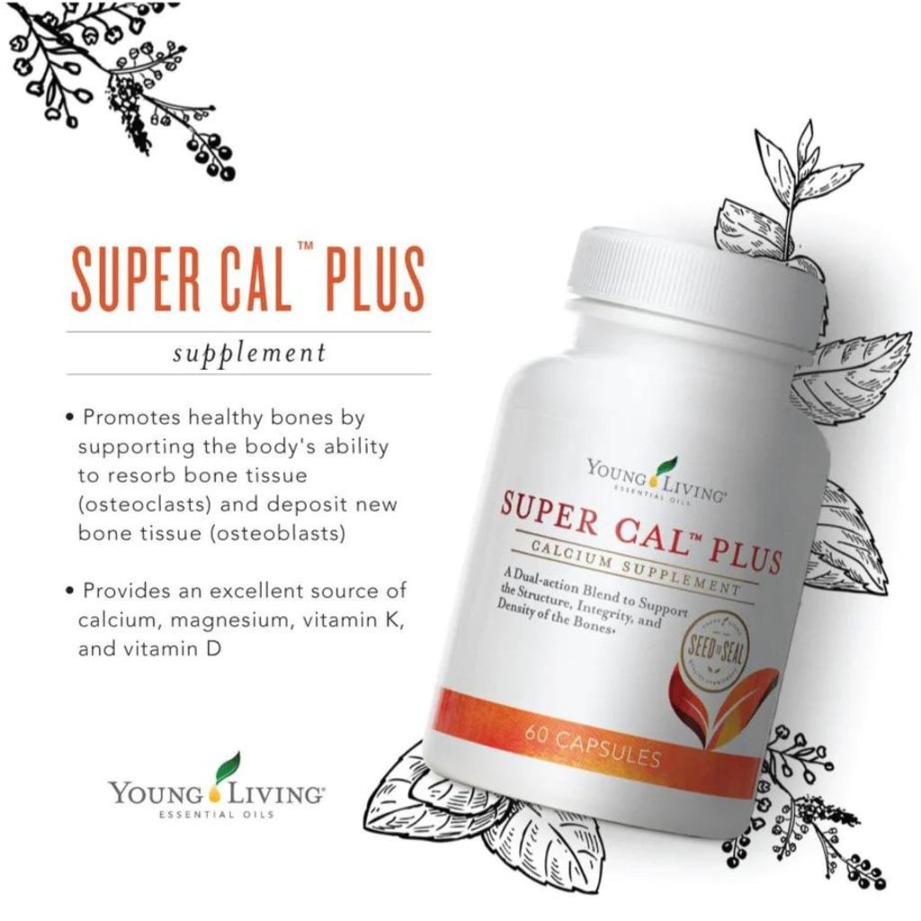 Super Cal Plus YL