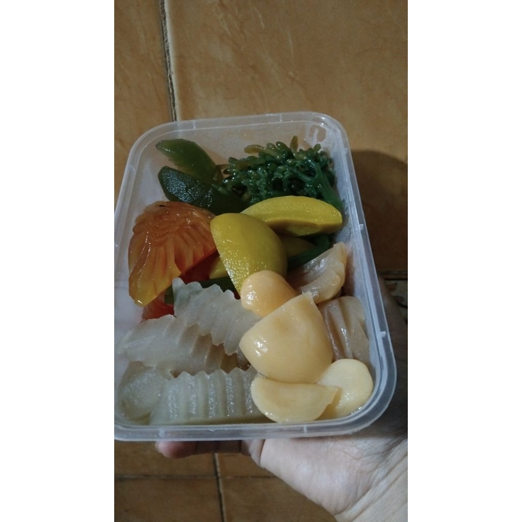 ANEKA MANISAN BUAH