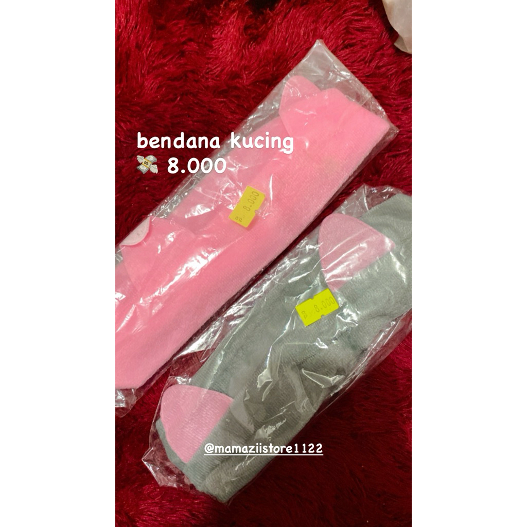 bendana kucing