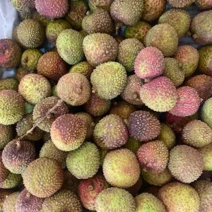 Lecy Madu 500gram