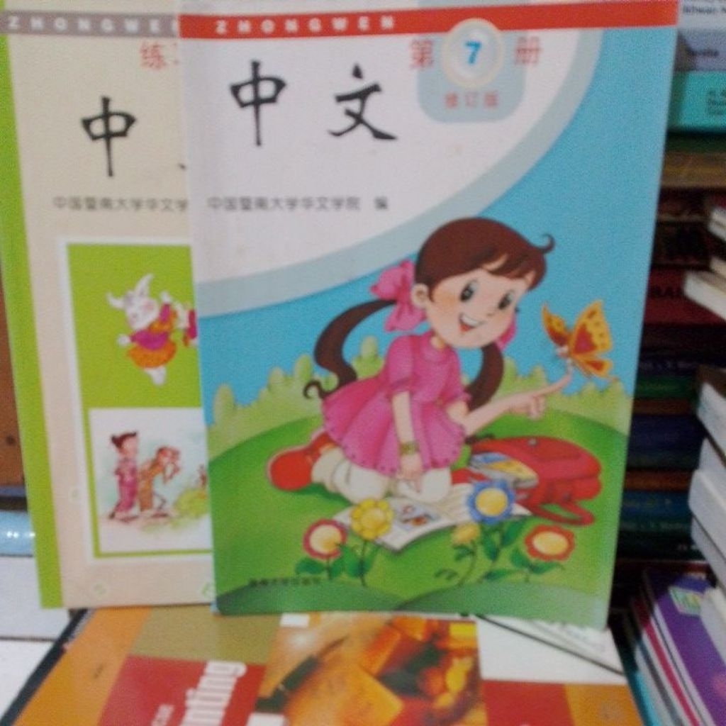Zhongwen 7 b