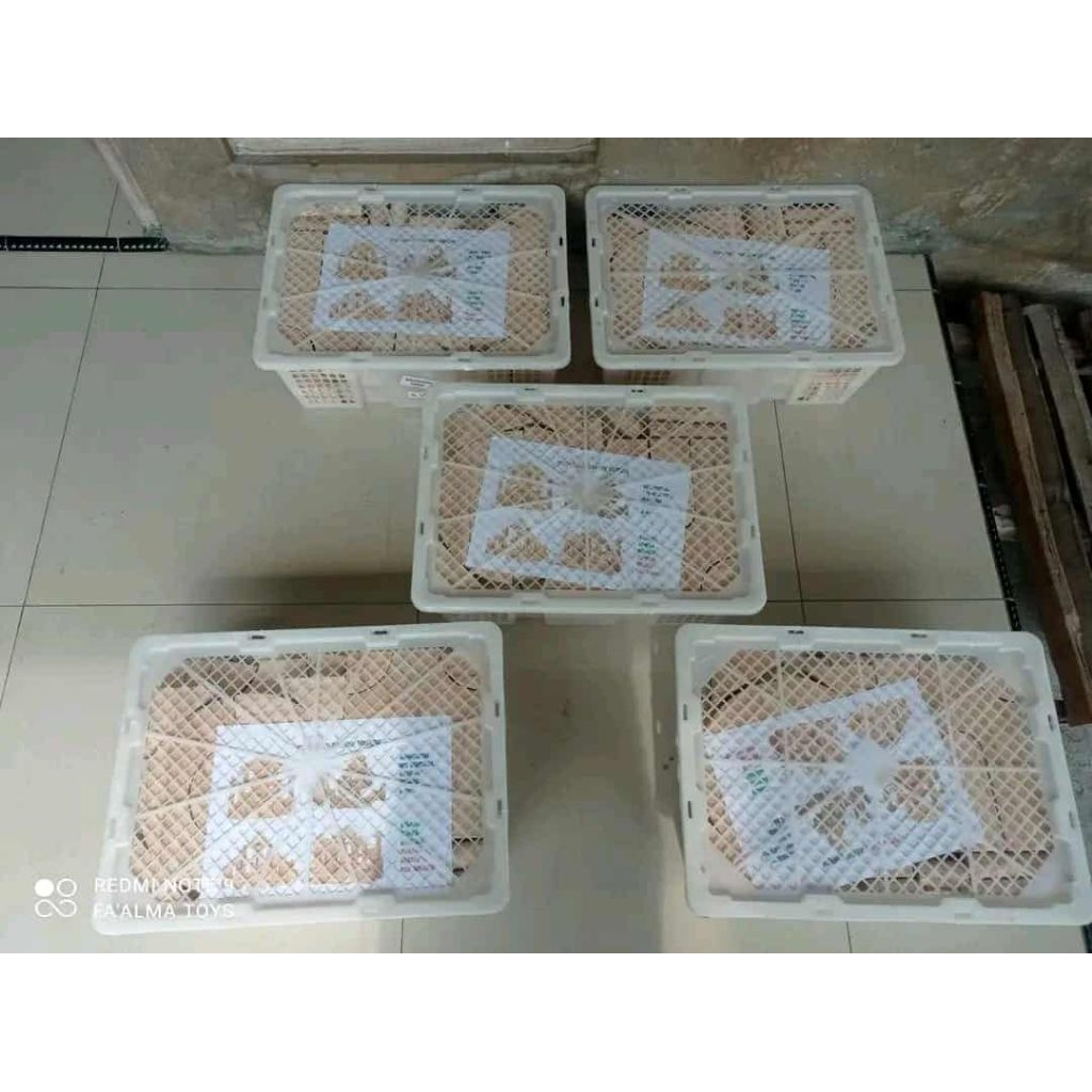 balok kayu