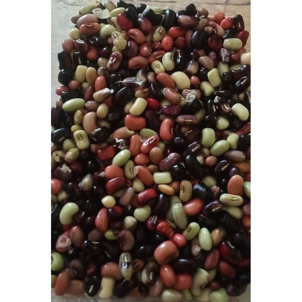 kacang nasi