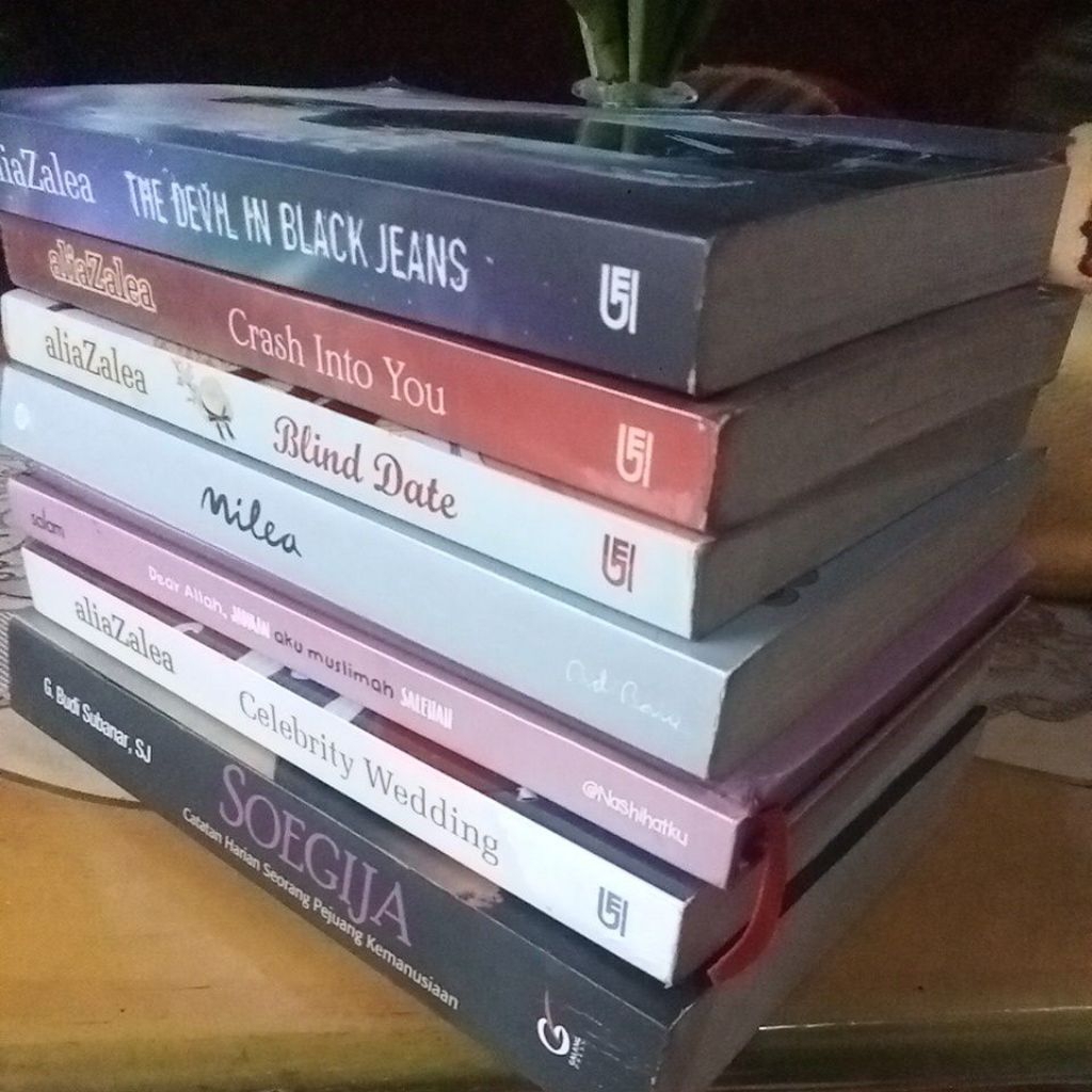 Novel novel ternama