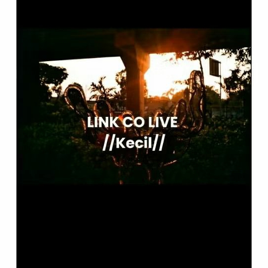 Nota Live Link co kecil
