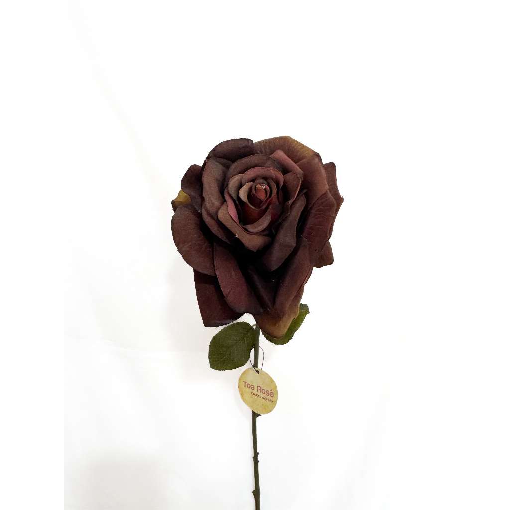 MIKEY - ROSE BROWN BIG