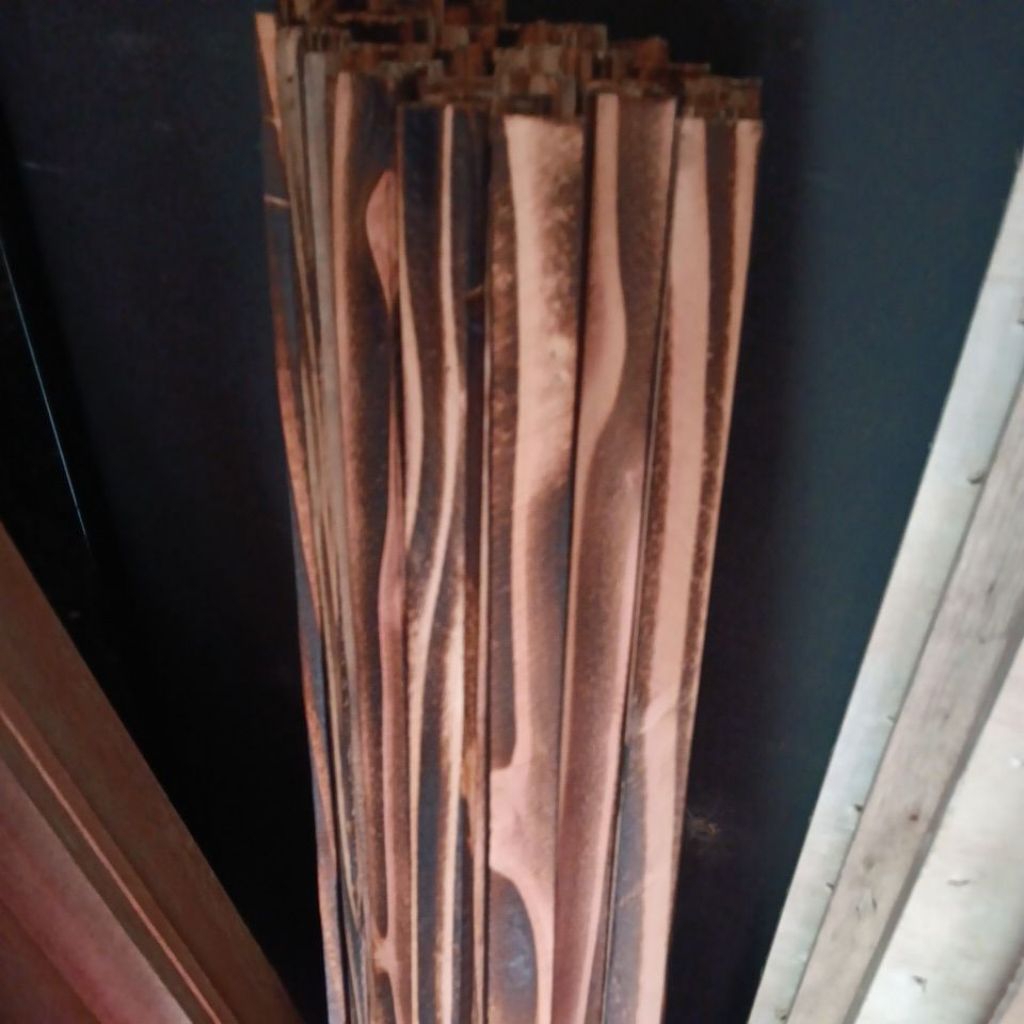 kayu jati belanda