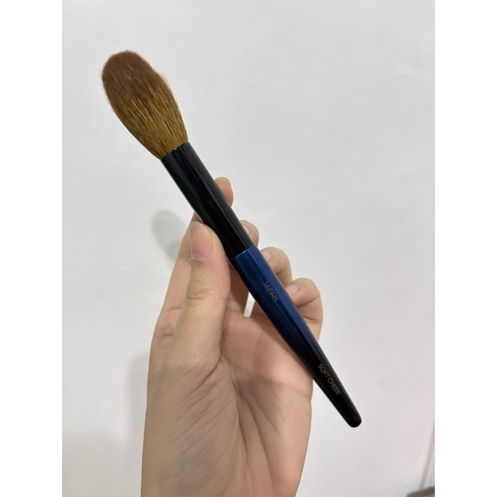 Sonia G soft cheek brush makeup