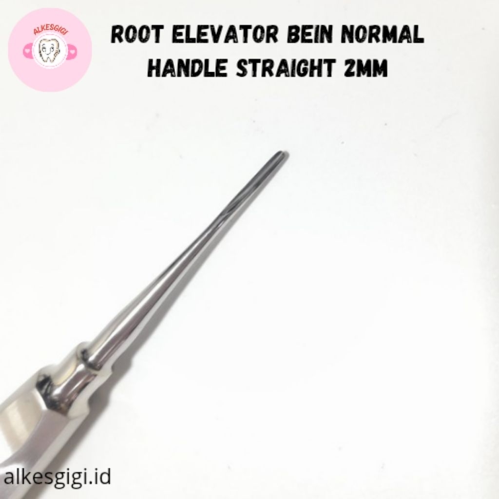 Root Elevator Normal Handle Bein Straight 2mm