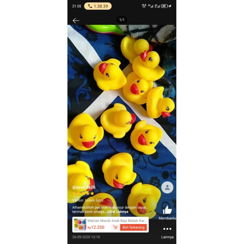 Mainan bebek bunyi