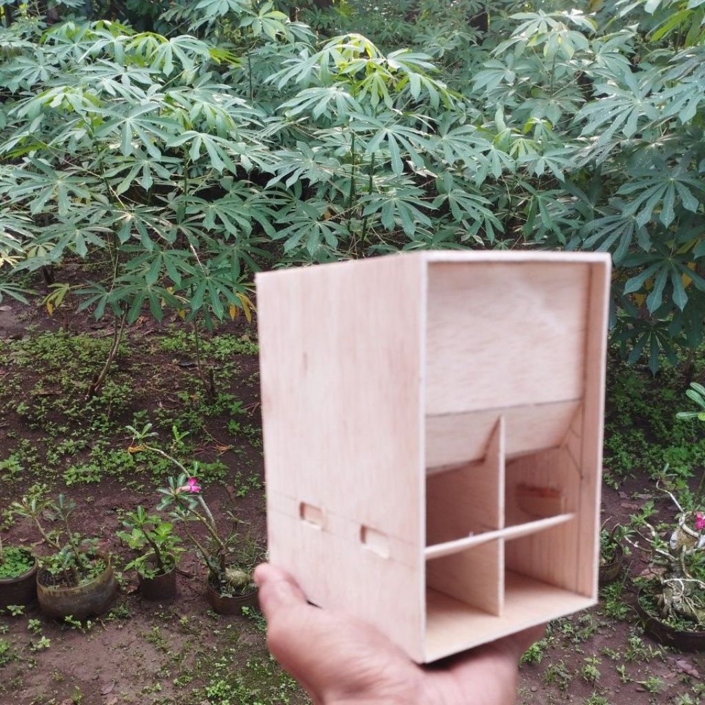 box supali 3inc