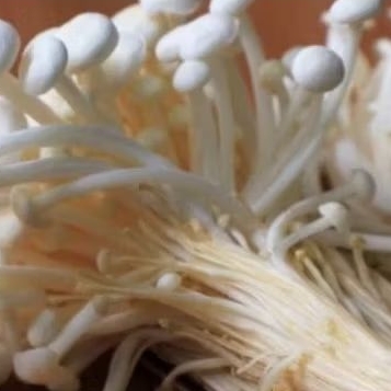 Jamur Enoki Import 100gr
