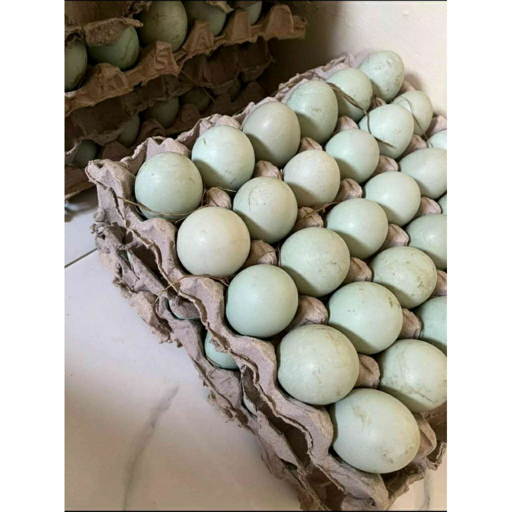 Telur BEBEK/Harga 1pcs