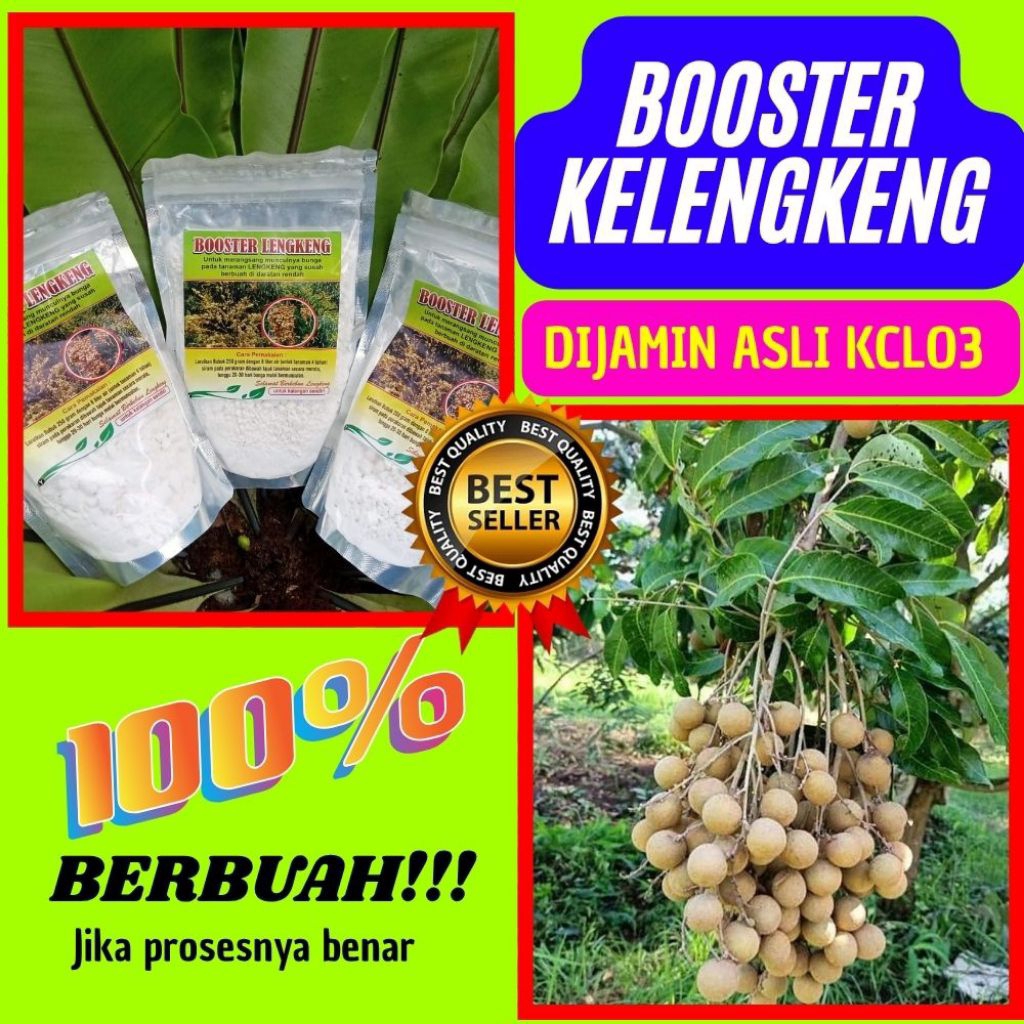 Booster Kelengkeng Buat Kelengkeng