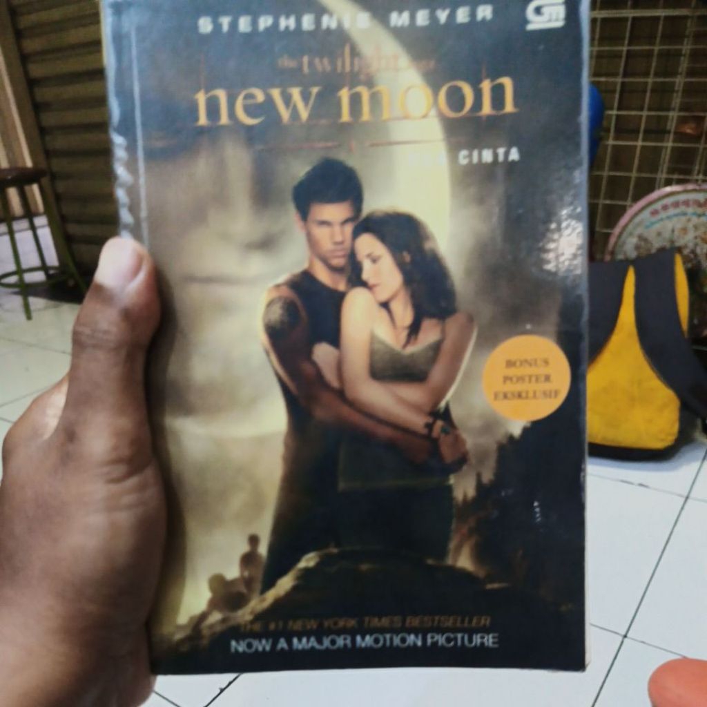 the twilight new moon