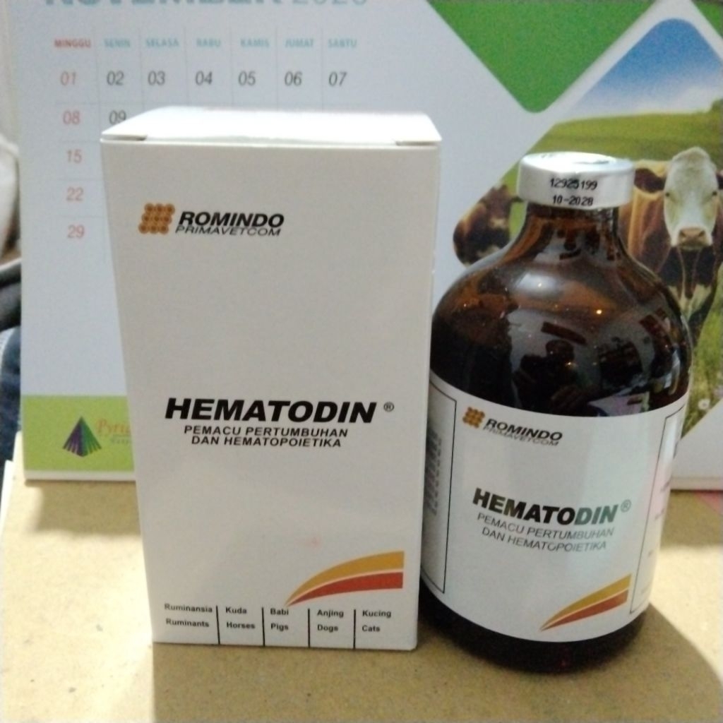 hematodin 100ml