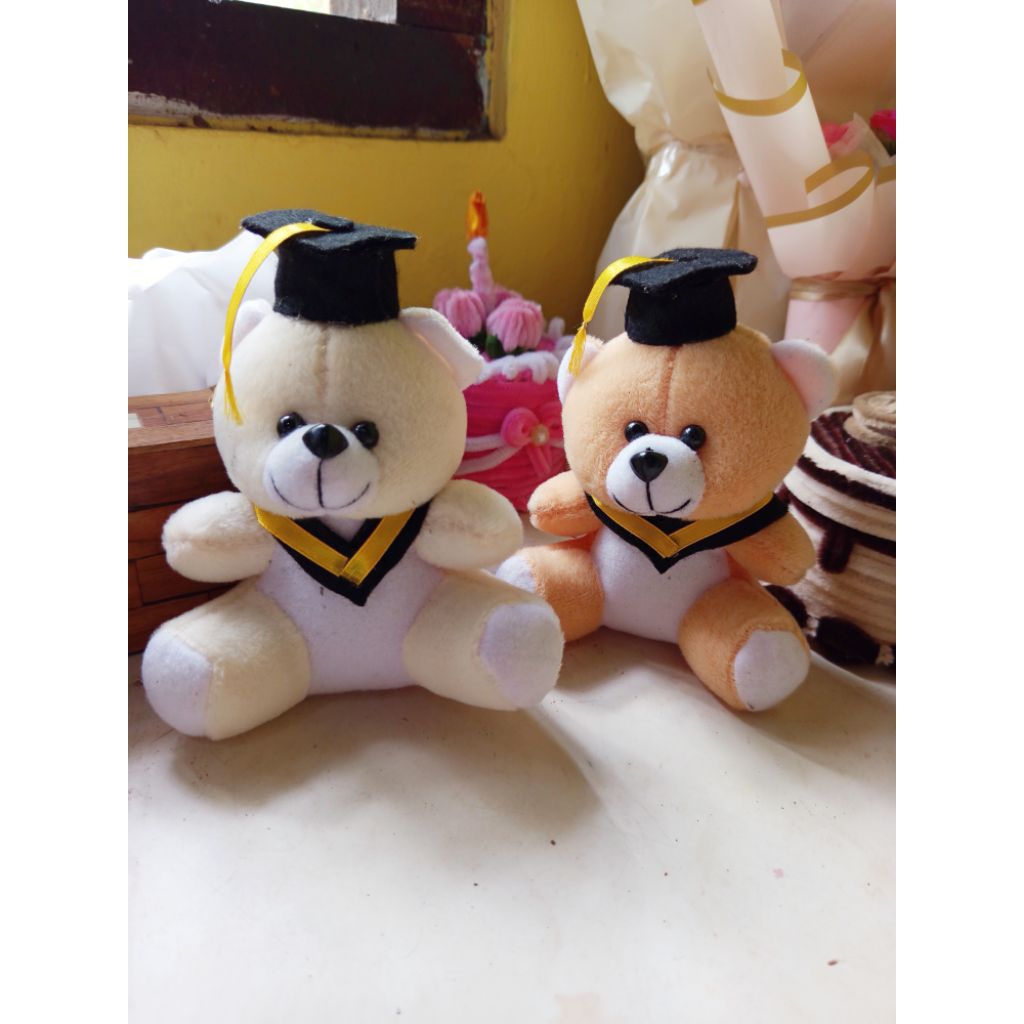 °•BONEKA TEDDY BEAR WISUDA 15CM•°