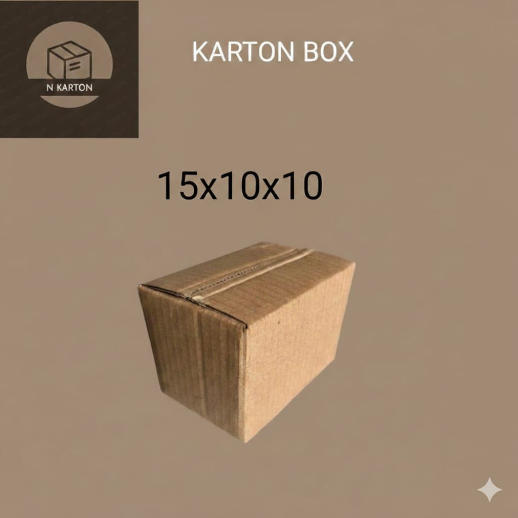 karton packing 15x10x10