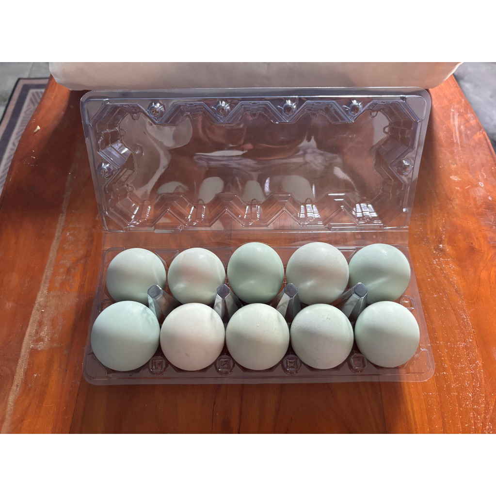 Telur Asin Bebek