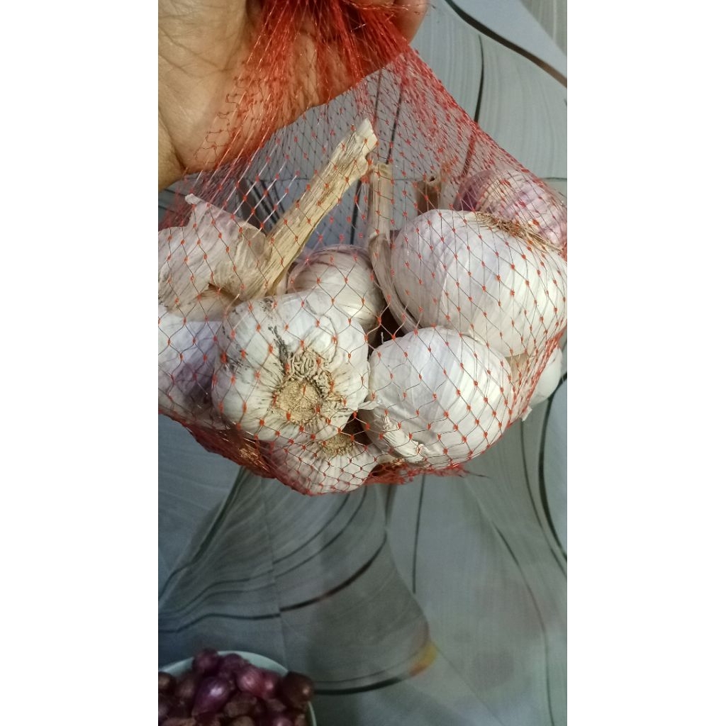 Bawang Putih Sinco