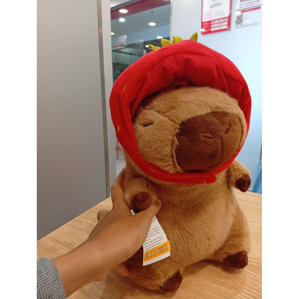 Capy Strawberry