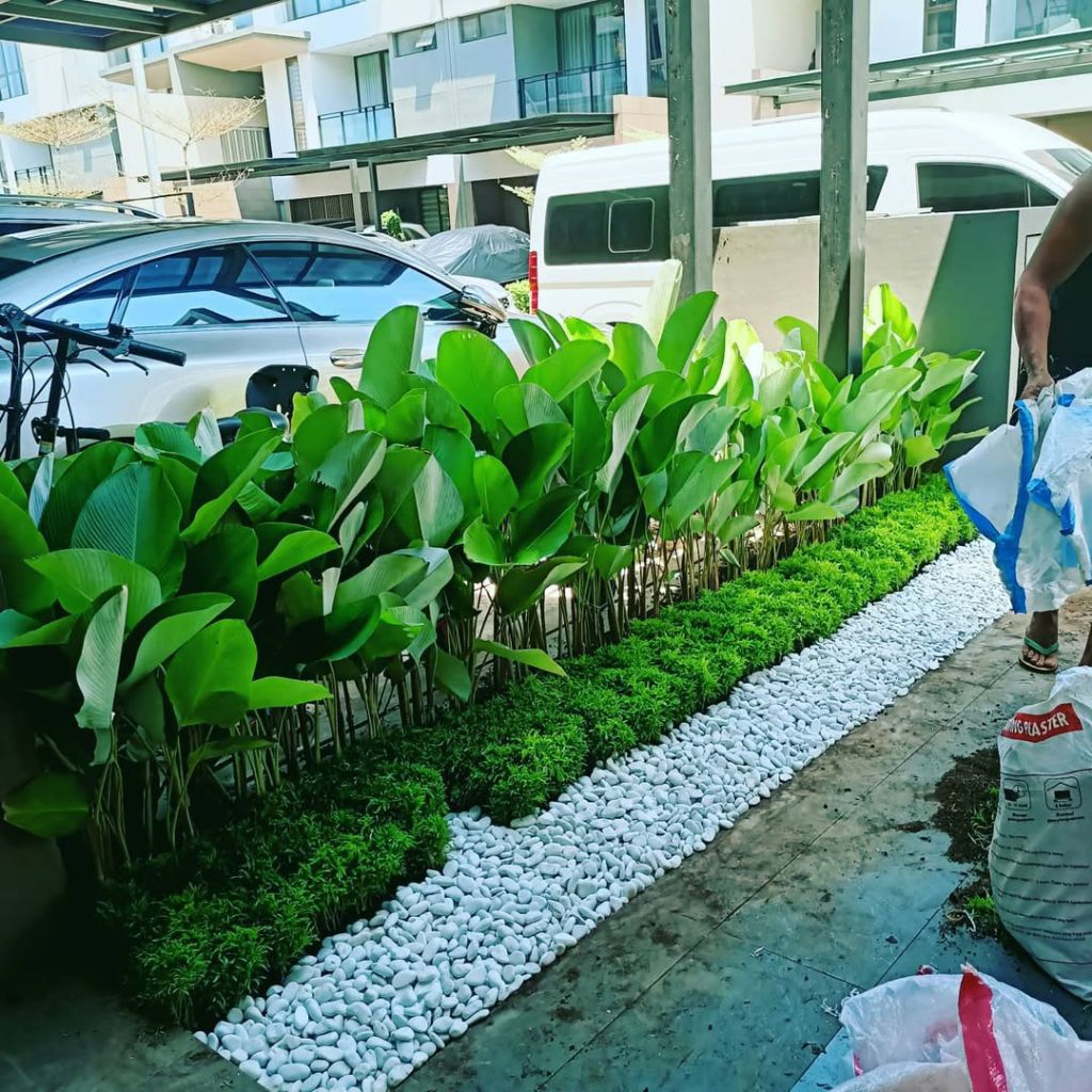 taman kecil simpel
