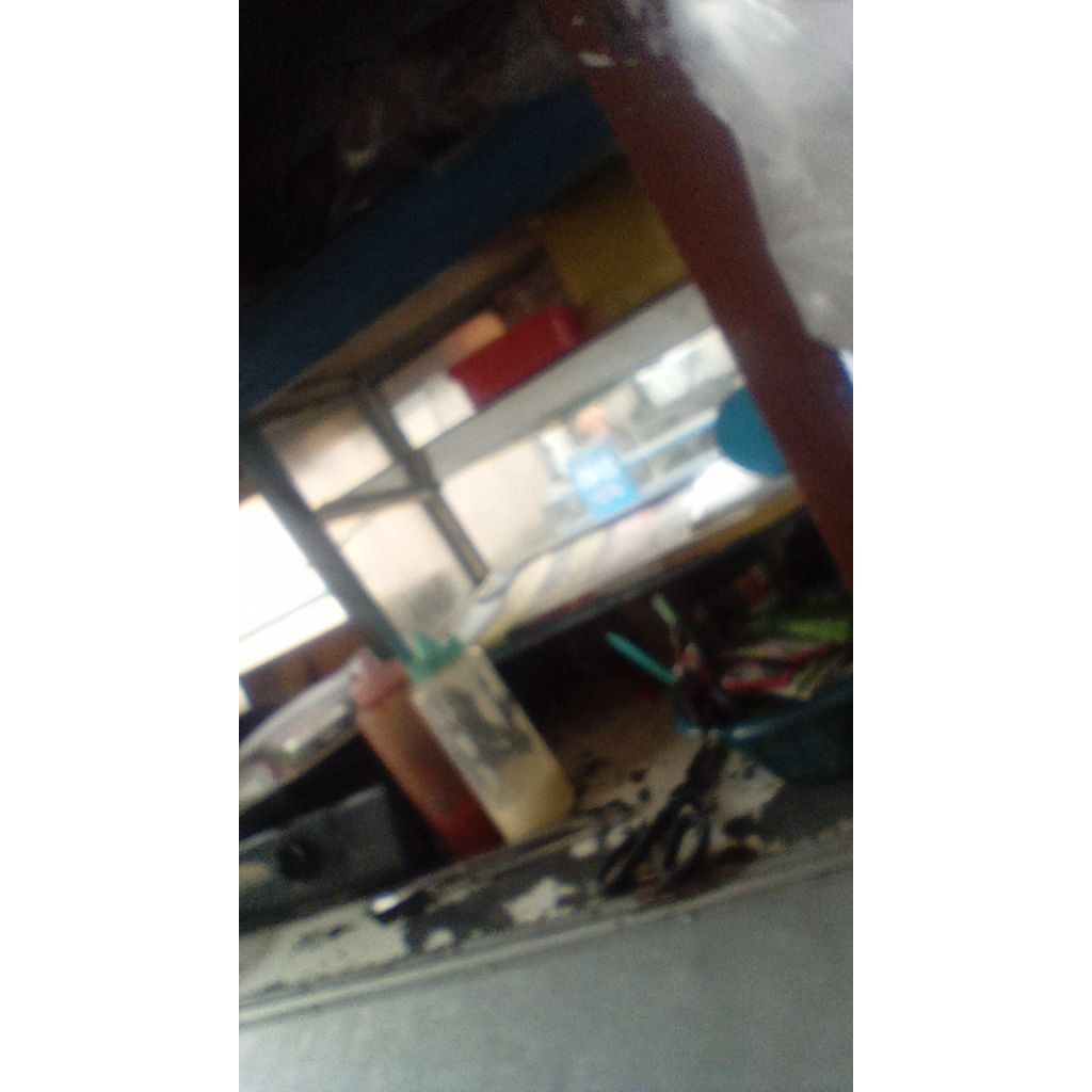 Frozen food