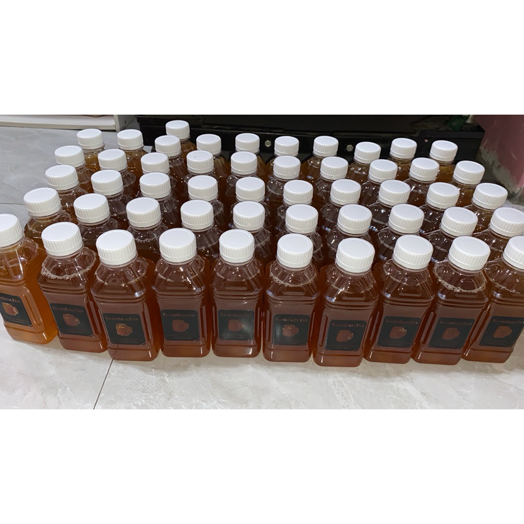 kombucha