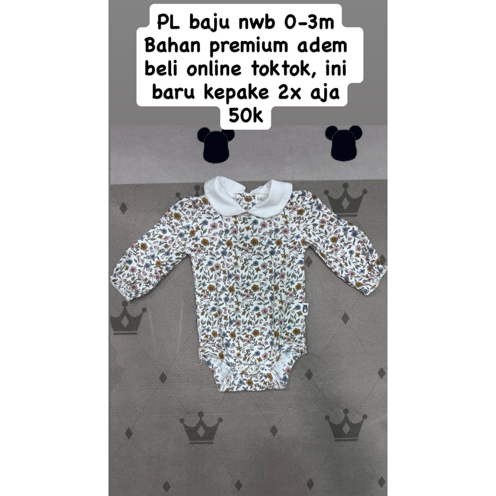 pl nwb