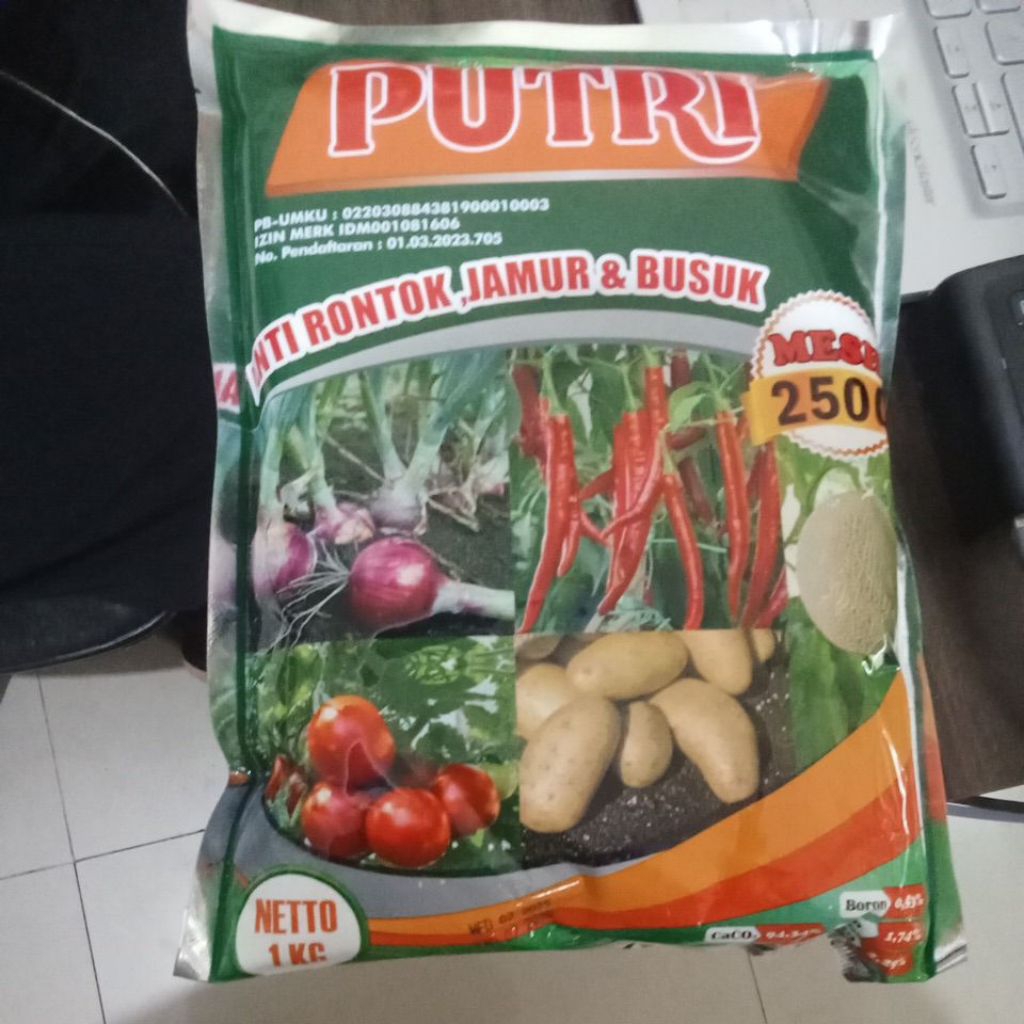 putri calsium