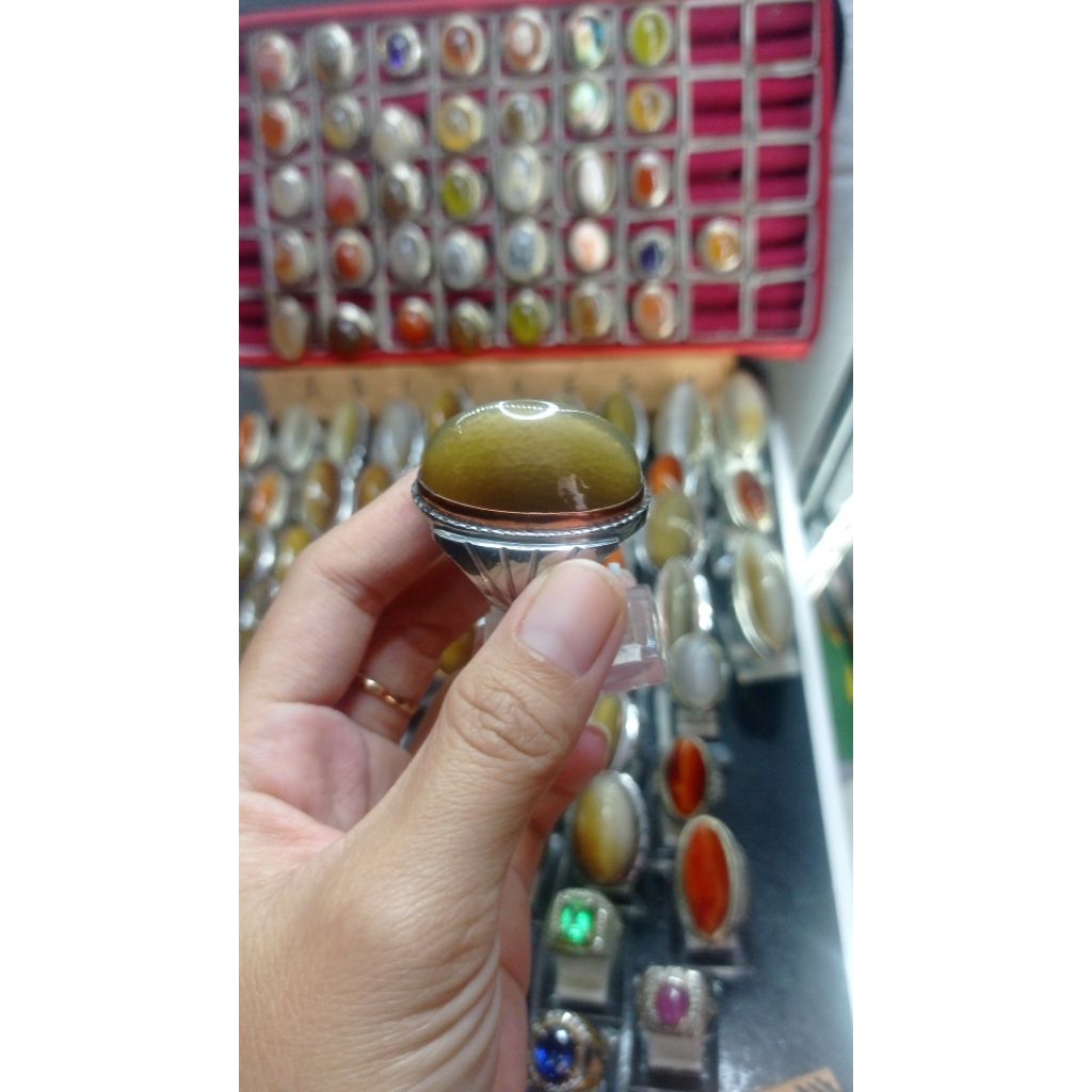 pandan nasmut ring monel