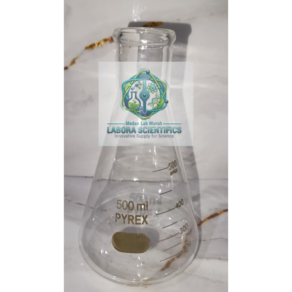 Erlenmeyer pyrex 500 ml / Erlemeyer / Erlenmayer / Filtering flask