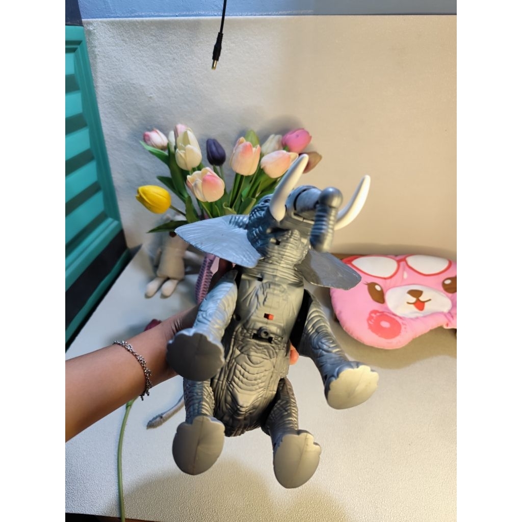 gajah bisa jalan