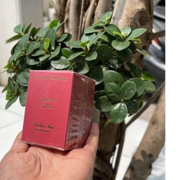 parfume bccrt 25ml
