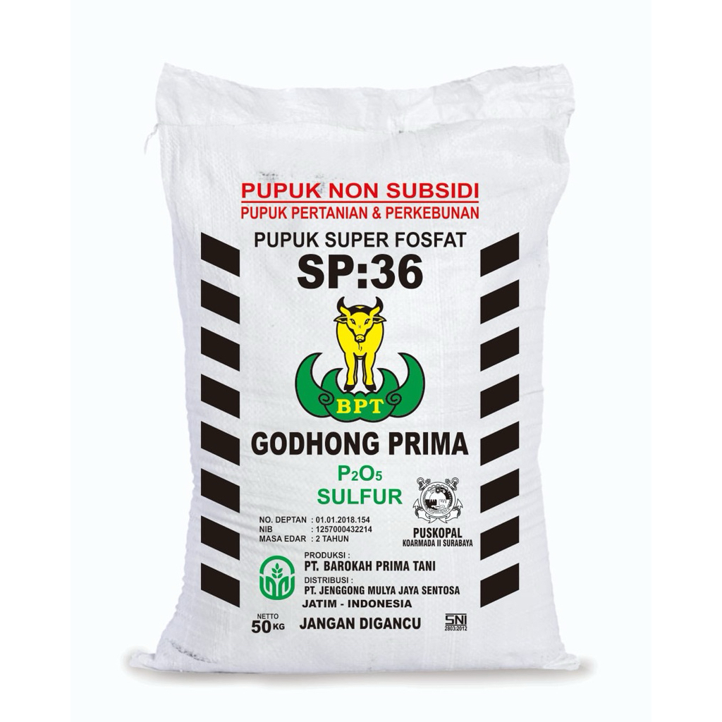 SP 36 50 KG